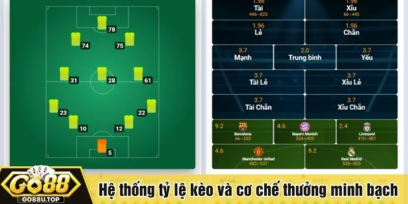 Mỗi giải đấu sẽ có nhóm kèo chính và phụ