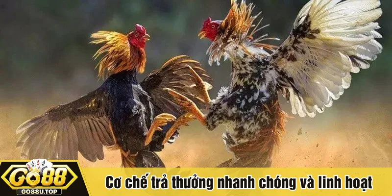 Cơ chế trả thưởng nhanh chóng và linh hoạt