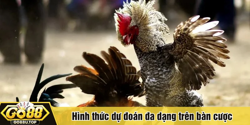 Hình thức dự đoán đa dạng trên bàn cược